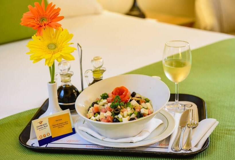 חדר דחוקס עם מיטת קינג, Globales Camino Real Managua