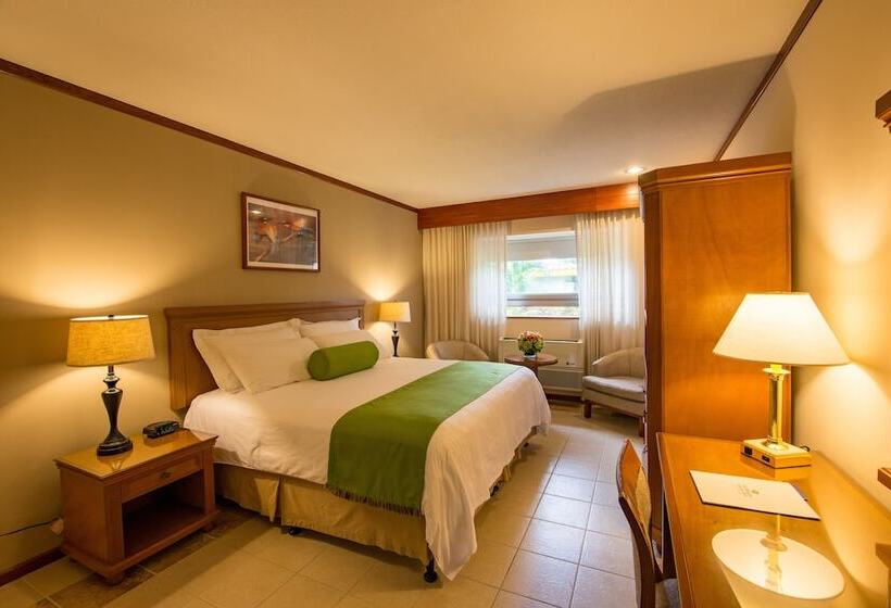 חדר דחוקס עם מיטת קינג, Globales Camino Real Managua