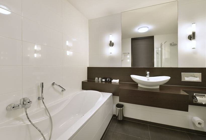 Comfort-huone, Van Der Valk Hotel Sassenheim   Leiden