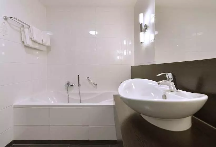 コンフォートルーム, Van Der Valk Hotel Sassenheim   Leiden