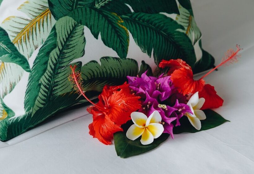 바다 전망 스탠다드 방갈로, White Grass Ocean Resort & Spa