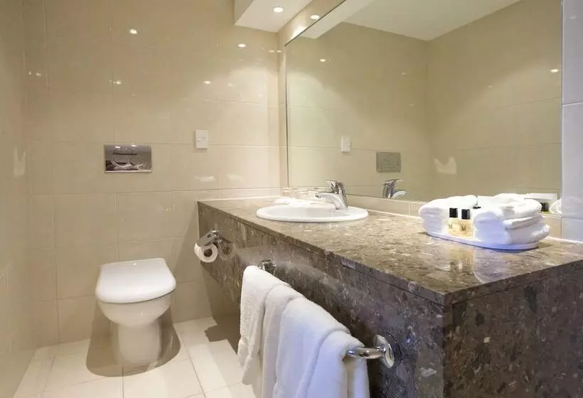 اتاق سوپریور, Copthorne Hotel Palmerston North