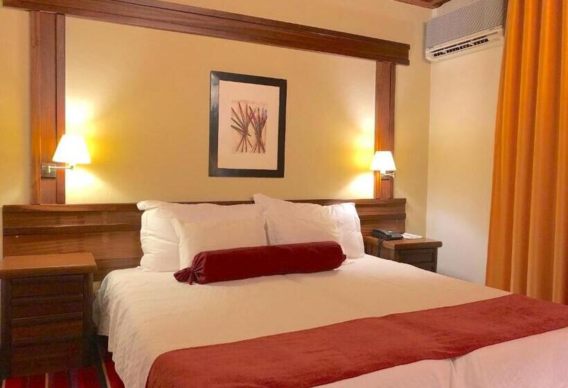 غرفة قياسية فردية, Eurosol Seia Camelo