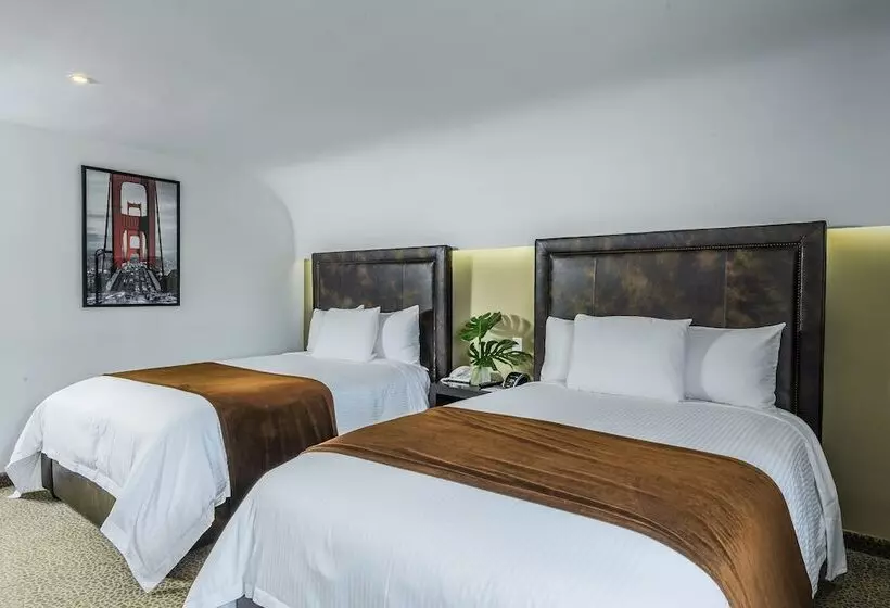 اتاق استاندارد با 2 تخت دوبل, Riande Urban