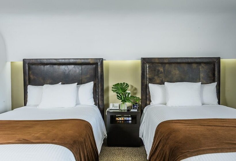 Номер Стандарт 2 Двуспальные Кровати, Riande Urban