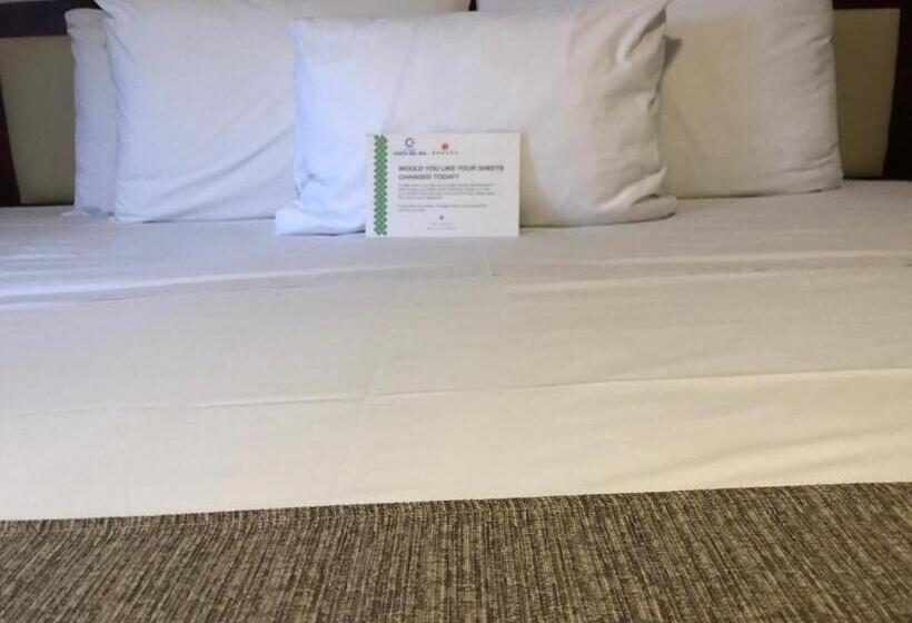 スタンダードルーム, Costa Del Sol Wyndham Cusco