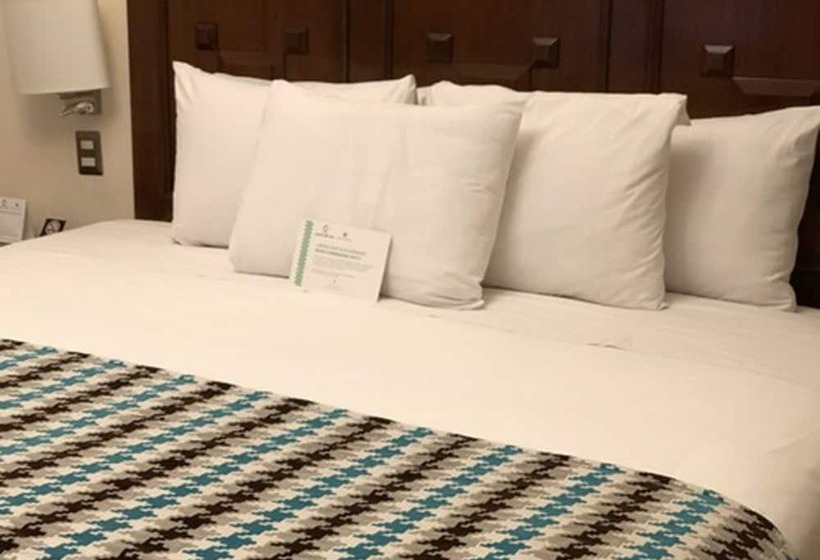 ダブルベッドスタンダードルーム, Costa Del Sol Wyndham Cusco