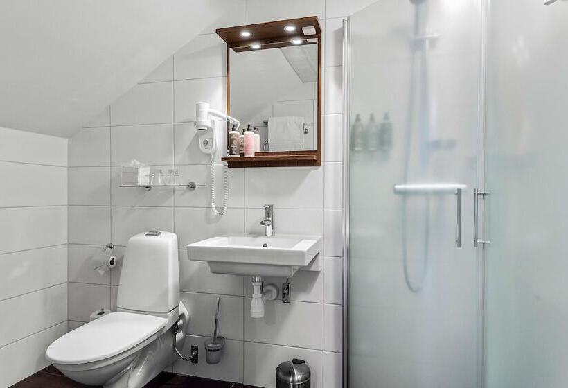 Номер Стандарт, Best Western Plus Edward