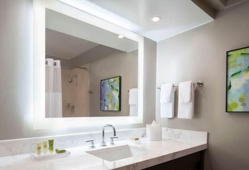 اتاق استاندارد با تخت دوبل برای معلولان, Caribe Hilton