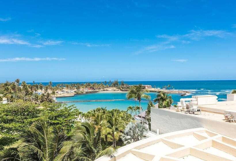 اتاق استاندارد با تخت دوبل برای معلولان, Caribe Hilton