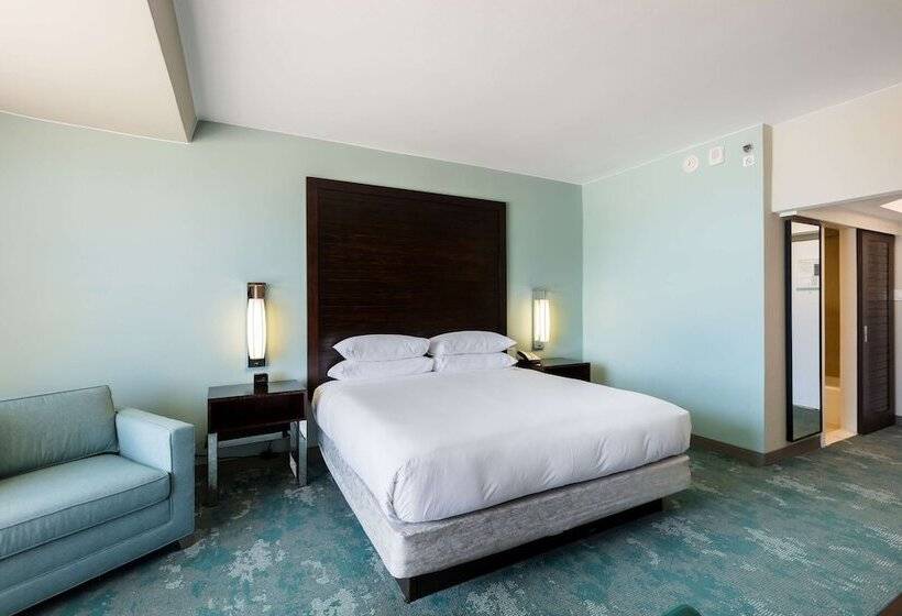 اتاق استاندارد با تخت دوبل برای معلولان, Caribe Hilton