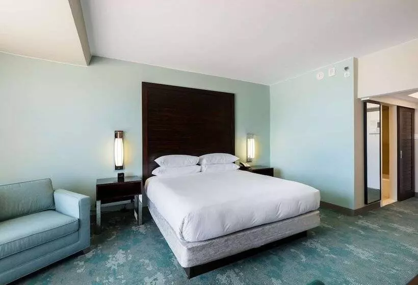 اتاق استاندارد با تخت دوبل برای معلولان, Caribe Hilton