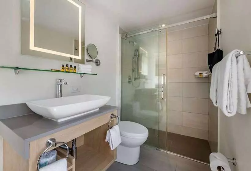 اتاق استاندارد با تخت بزرگ, Caribe Hilton