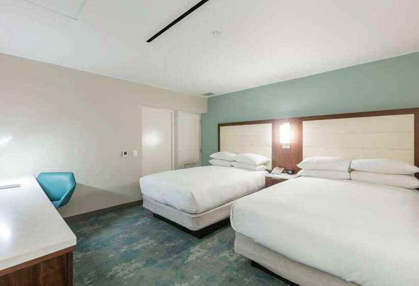 سوئیت 2 خوابه, Caribe Hilton