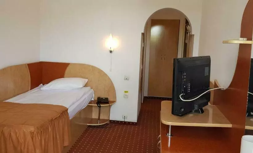 اتاق استاندارد یک نفره, Grand Hotel Ceahlau