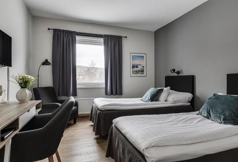 Номер Стандарт, L Kramm