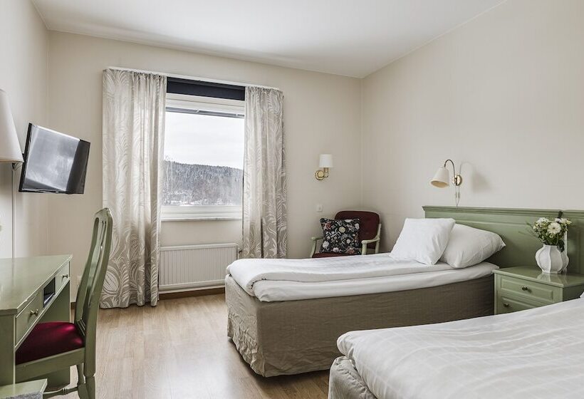 Номер Стандарт, L Kramm