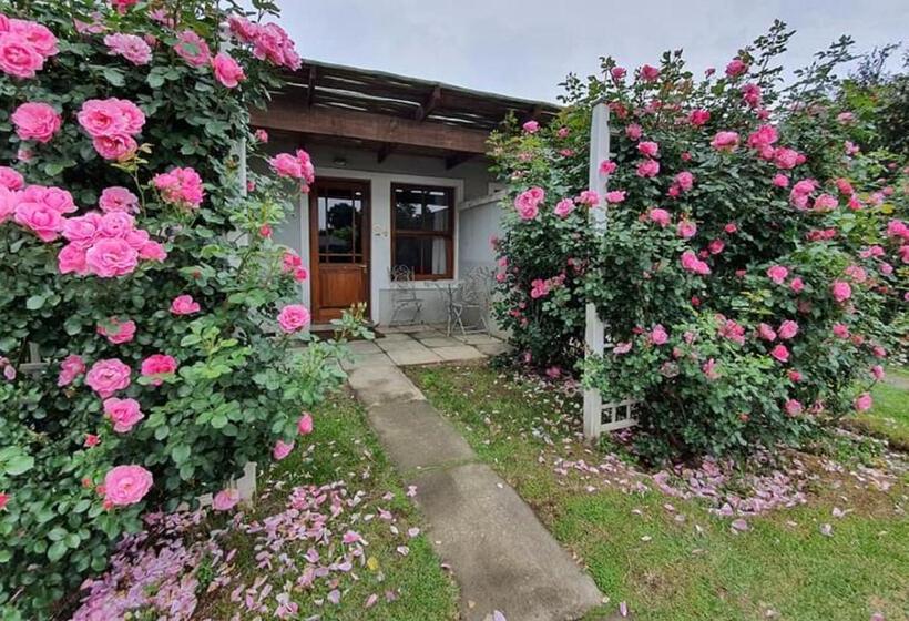 חדר סטנדרט, The Nottingham Road