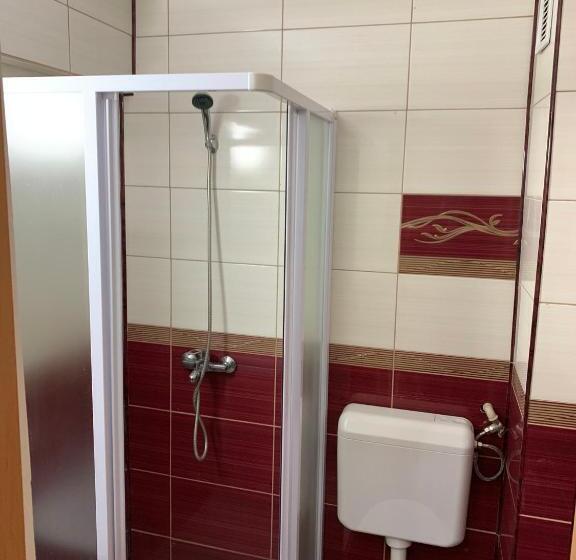 Номер Стандарт, Parc