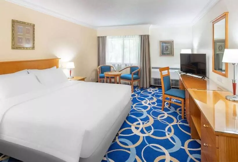اتاق سوپریور با چشم‌انداز باغ, Radisson Blu Hotel, Yanbu