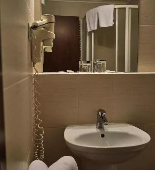 Cameră Standard cu Priveliște către Oraș, Uzhgorod