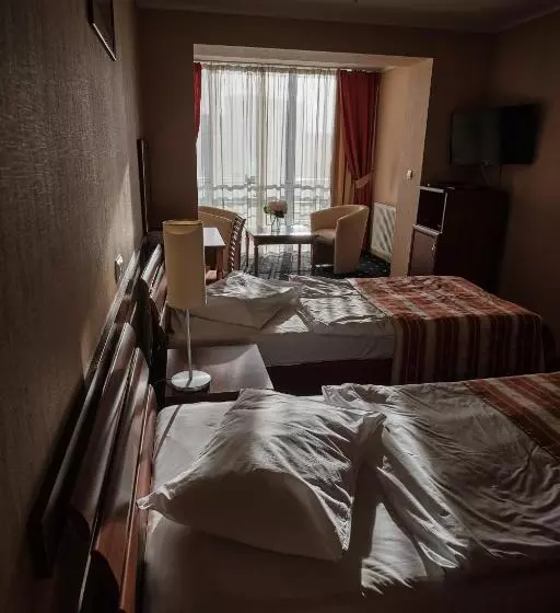 Cameră Standard cu Priveliște către Oraș, Uzhgorod