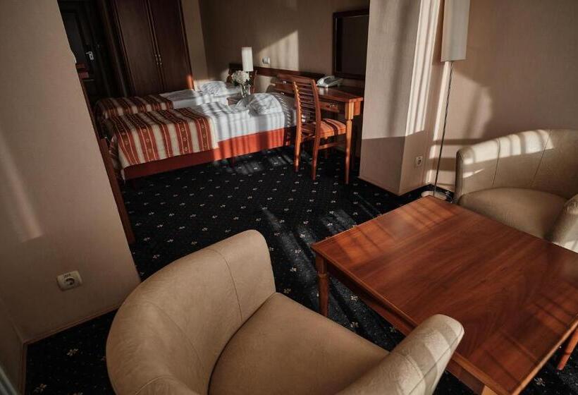 اتاق استاندارد با چشمانداز شهر, Uzhgorod