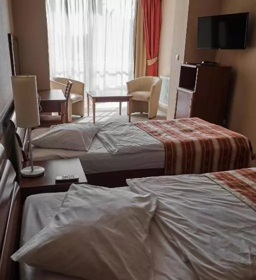 Cameră Standard cu Priveliște către Oraș, Uzhgorod