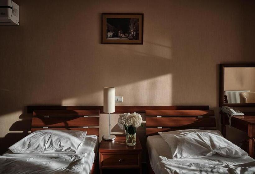 اتاق استاندارد با چشمانداز شهر, Uzhgorod