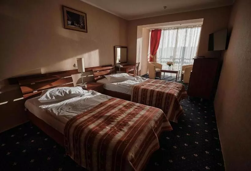 Cameră Standard cu Priveliște către Oraș, Uzhgorod