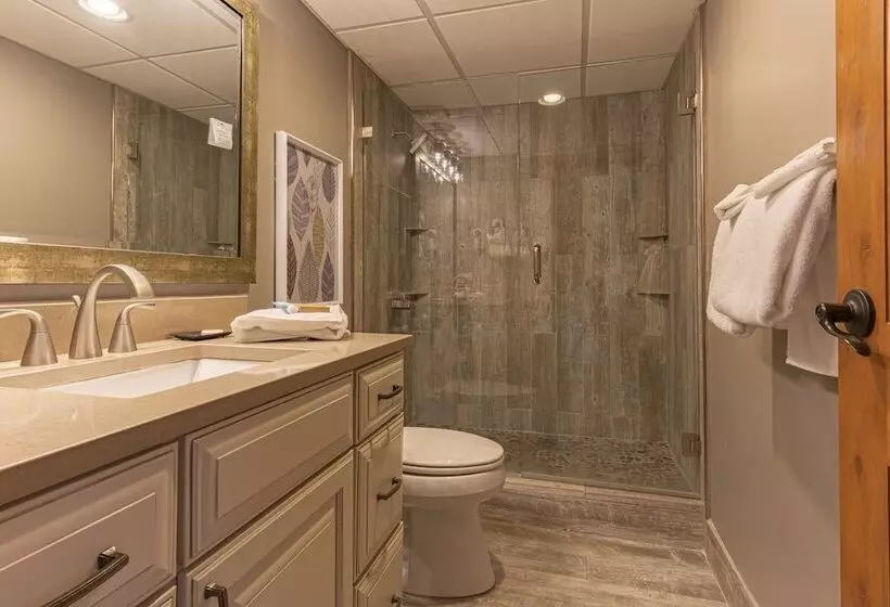 سوئیت 2 خوابه, Beaver Run Resort