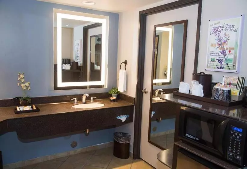 اتاق اجرایی با تخت بزرگ, Adelaide Inn