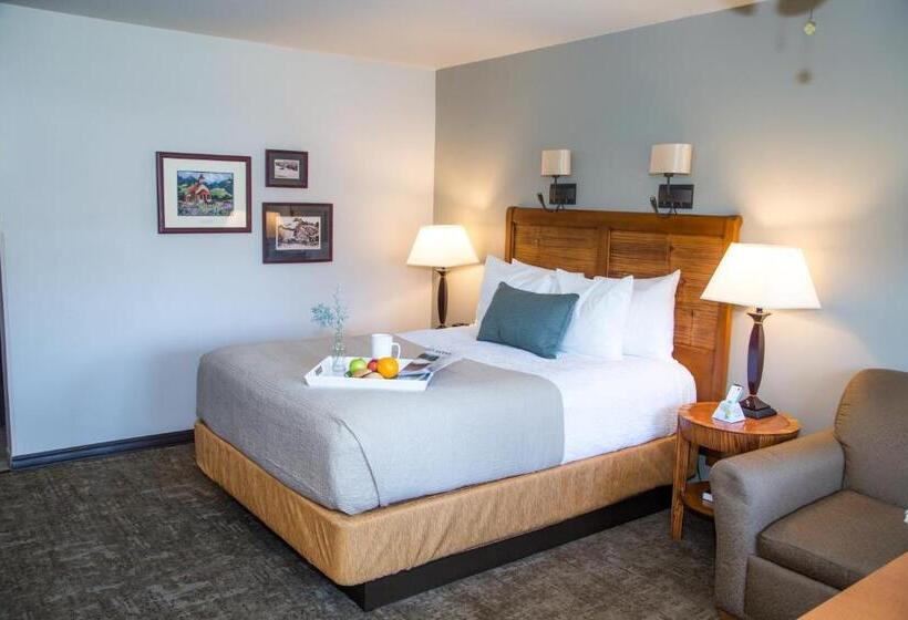 غرفة قياسية, Adelaide Inn