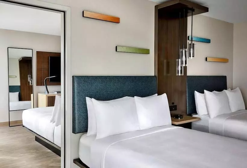 اتاق استاندارد با 2 تخت دوبل, Anaheim Marriott