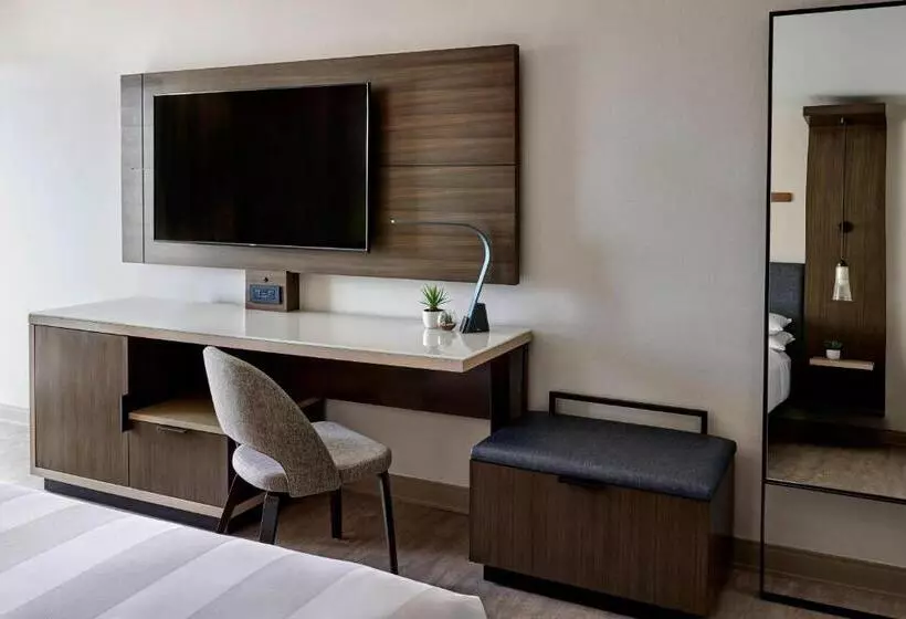 اتاق استاندارد با تخت بزرگ, Anaheim Marriott