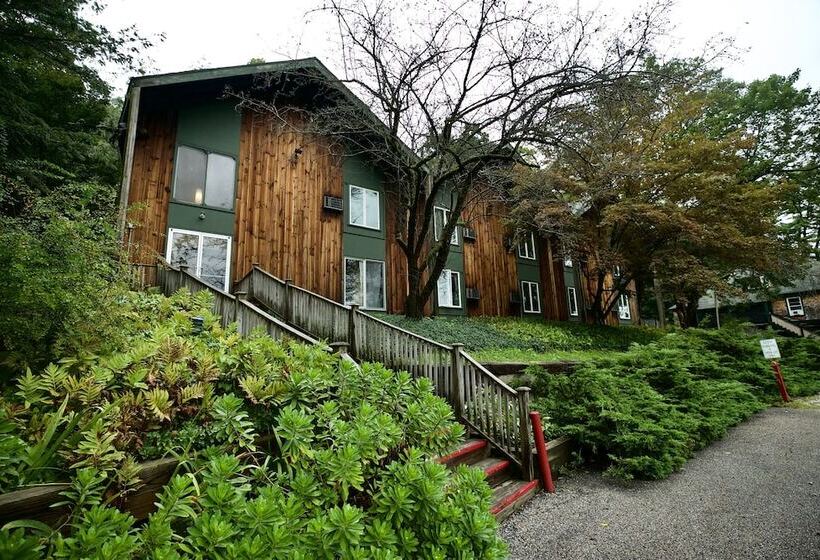 اتاق کلاسیک با تخت دوبل, Apple Tree Inn