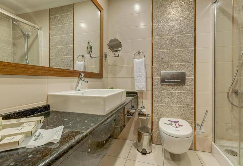 スタンダードルーム, Buyuk Abant