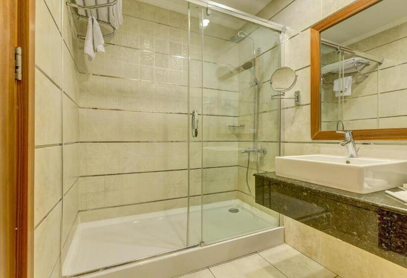 デラックスルーム, Buyuk Abant