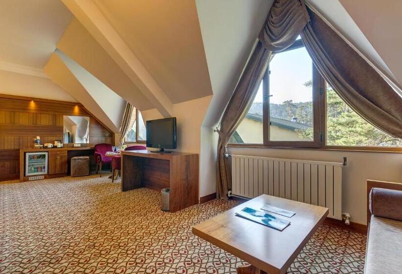 デラックスルーム, Buyuk Abant