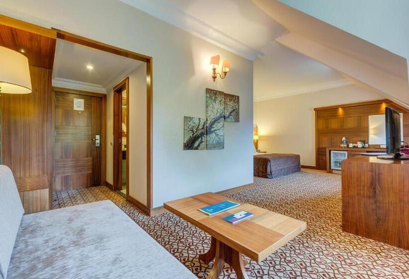 デラックスルーム, Buyuk Abant