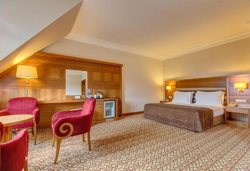 レイクビューデラックスルーム, Buyuk Abant