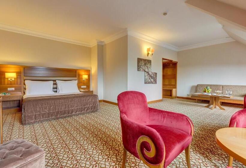 レイクビューデラックスルーム, Buyuk Abant