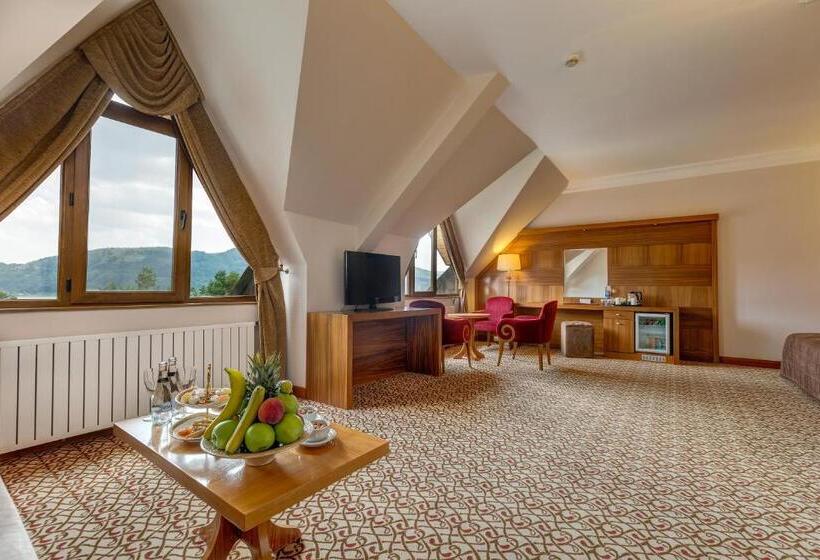 レイクビューデラックスルーム, Buyuk Abant