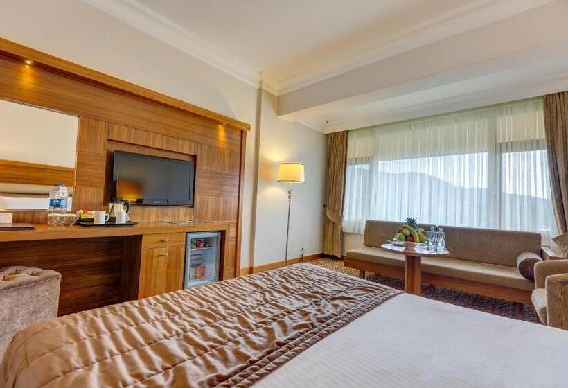 レイクビュースタンダードルーム, Buyuk Abant