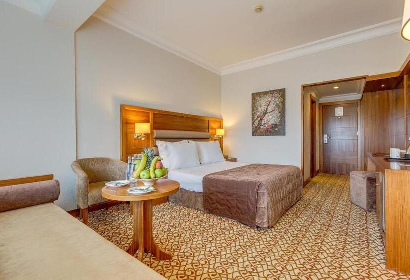 レイクビュースタンダードルーム, Buyuk Abant