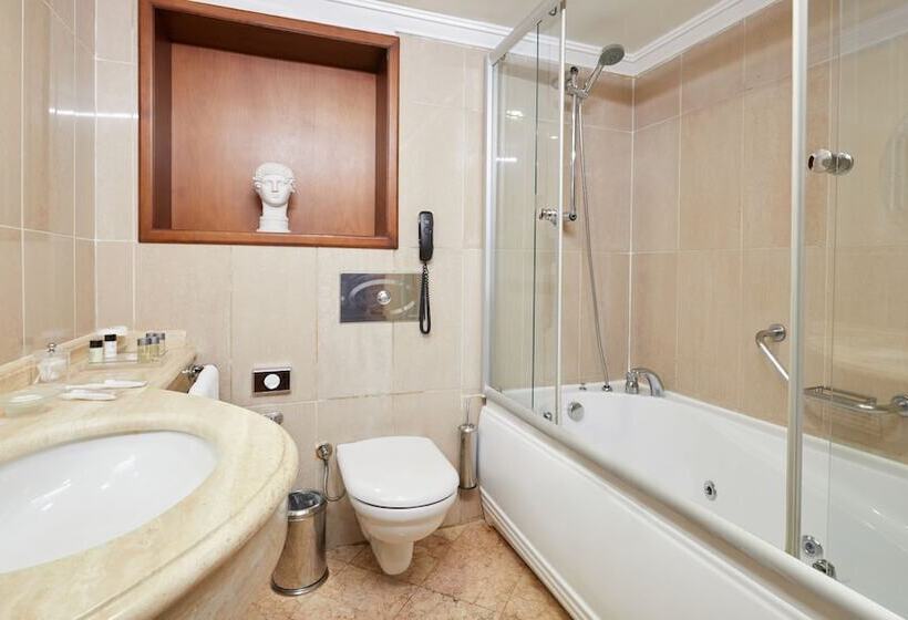 エクゼクティブスイート, Dedeman Istanbul