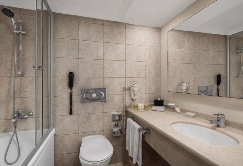 デラックスルーム, Dedeman Istanbul