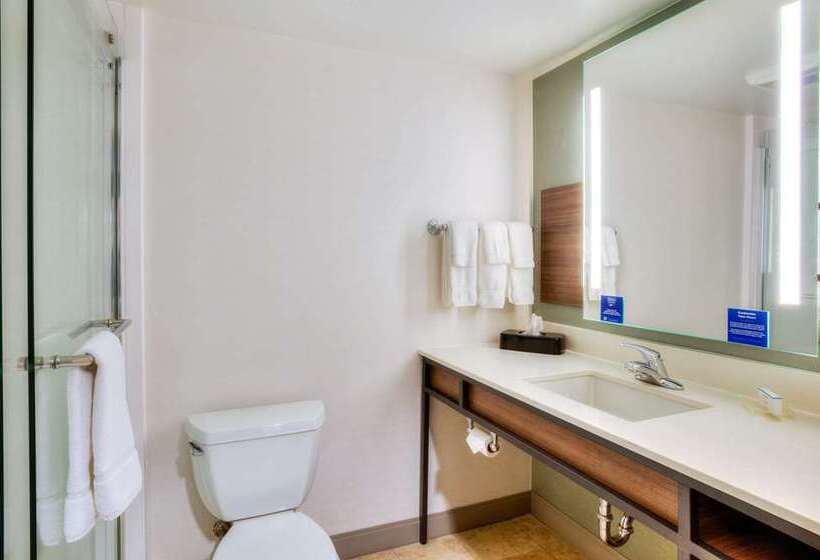 Habitació Deluxe, Hilton Arlington