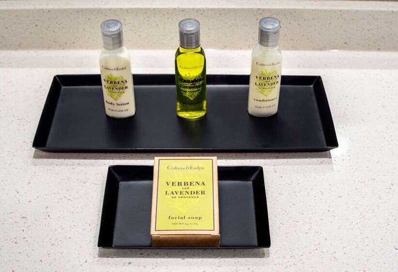 غرفة ديلوكس, Hilton Arlington