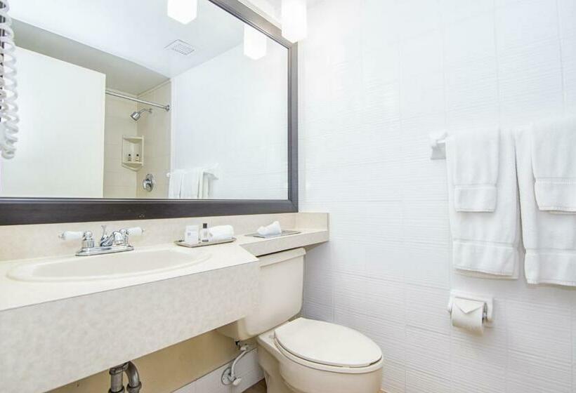 带大床的标准间, Regency Miami Airport By Sonesta